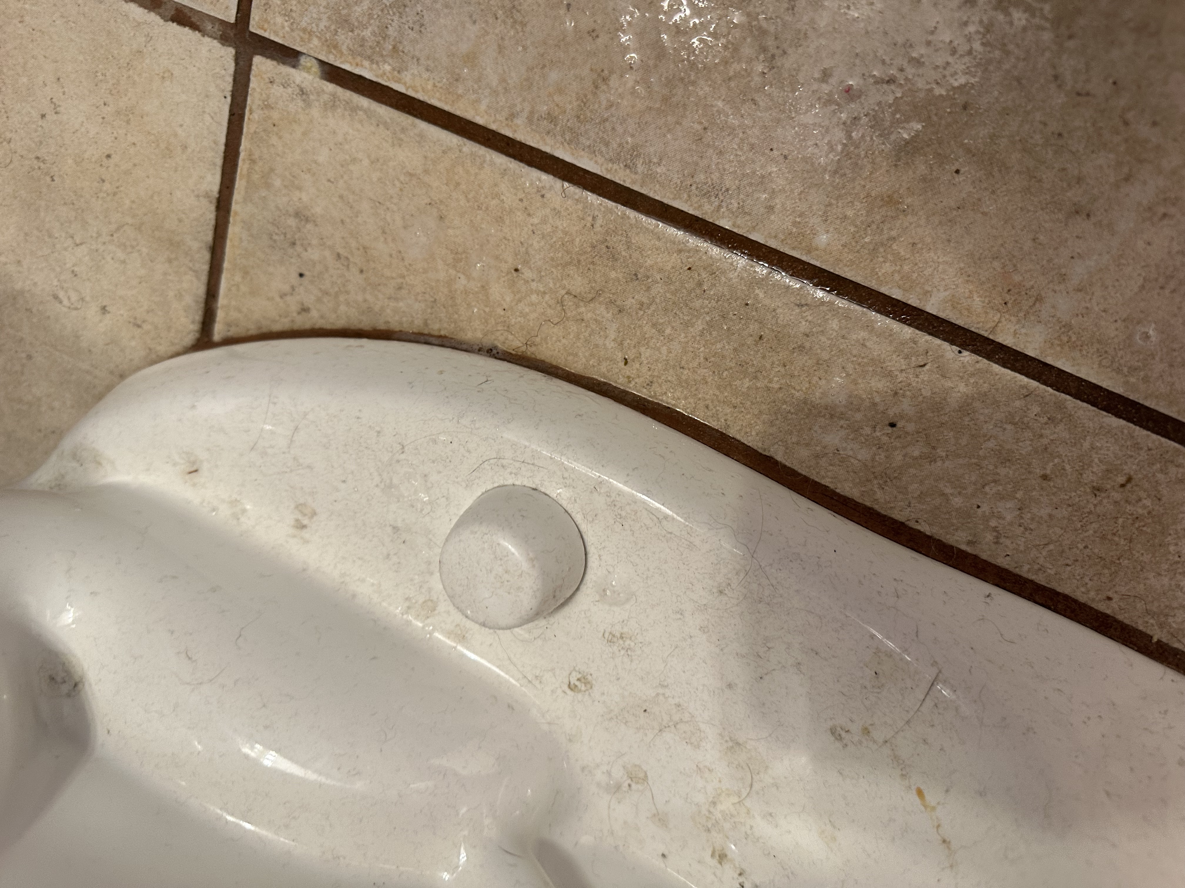 Bathroom Deep Clean before